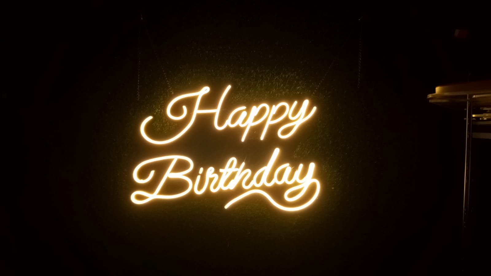Happy Birdthay Neon Sign